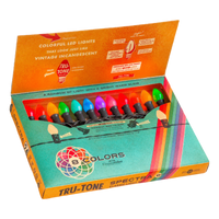 Tru-Tone vintage-style rainbow C7 LED Christmas light set with 24 multicolor bulbs