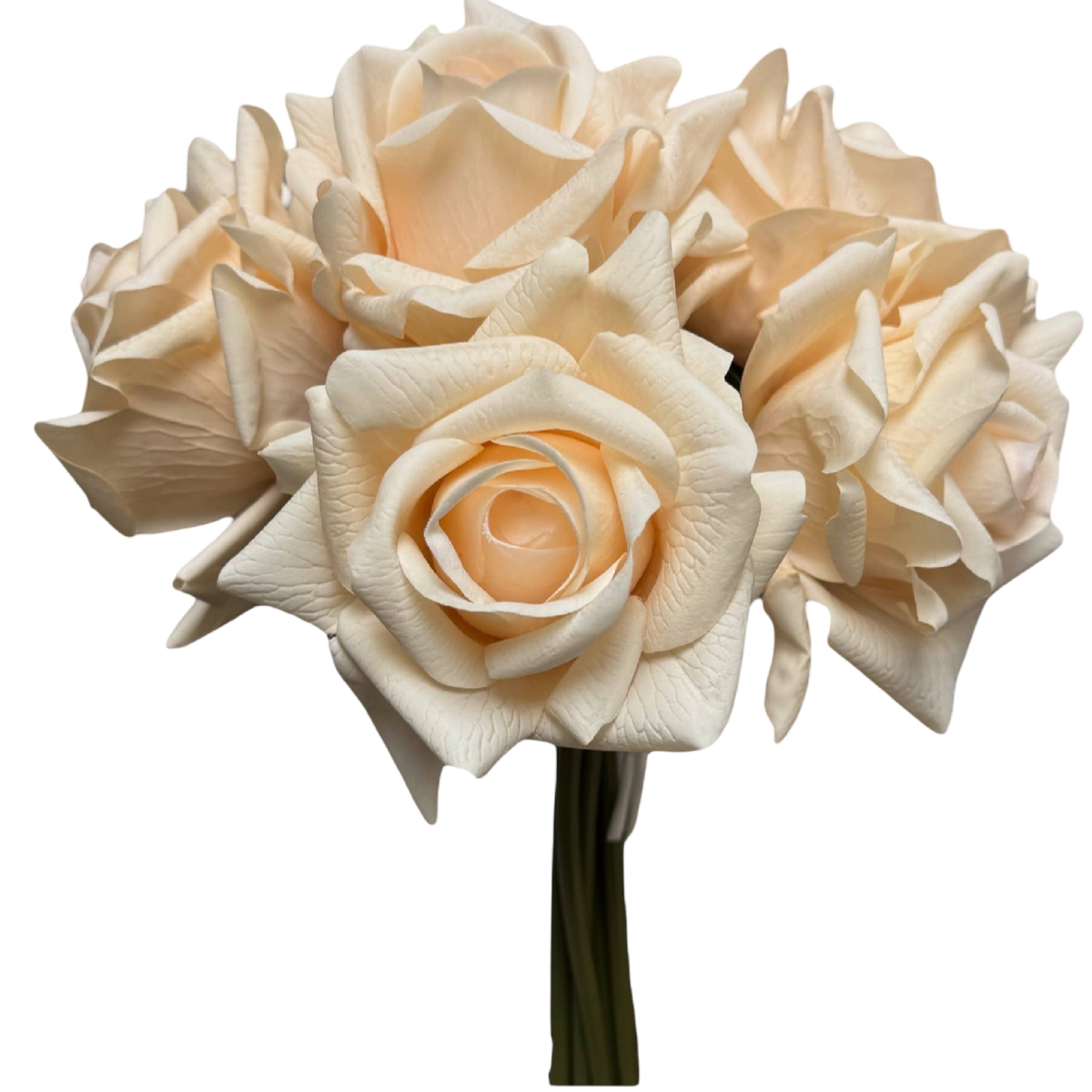 Bouquet of white roses on a white background