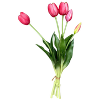 Bouquet of pink tulips with green leaves on a white background