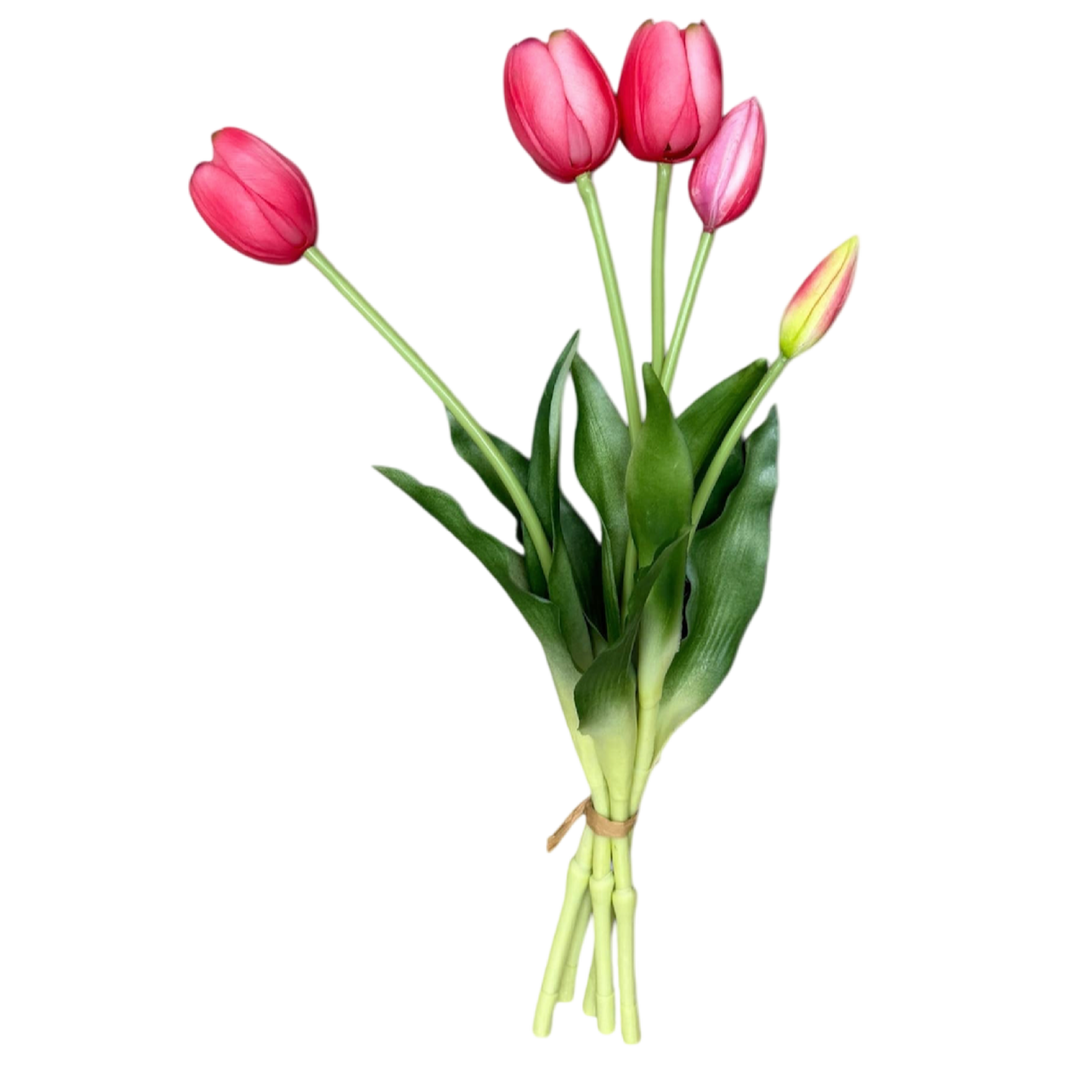 Bouquet of pink tulips with green leaves on a white background