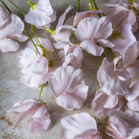 Close-up of pink flowers on a textured surface